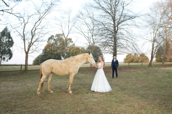 Bride stroking a horse with the groom watching